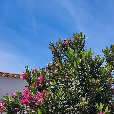 Beautiful Casa Gazanias Competa